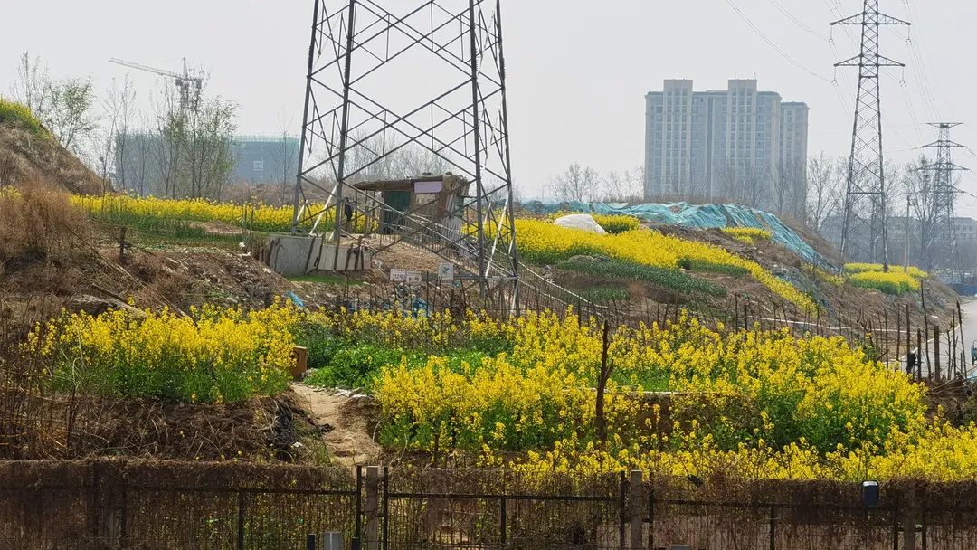 郑州的宇宙中心是哪个区域,宇宙中心河南郑州