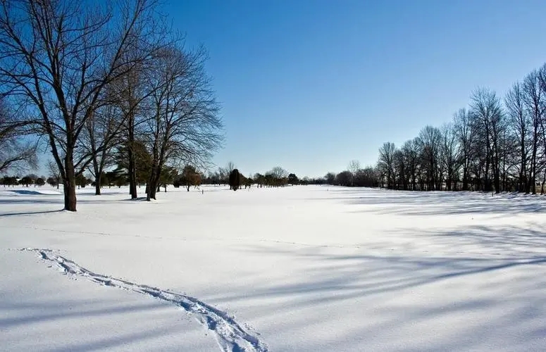 雪夜户外露营,雪夜歌曲