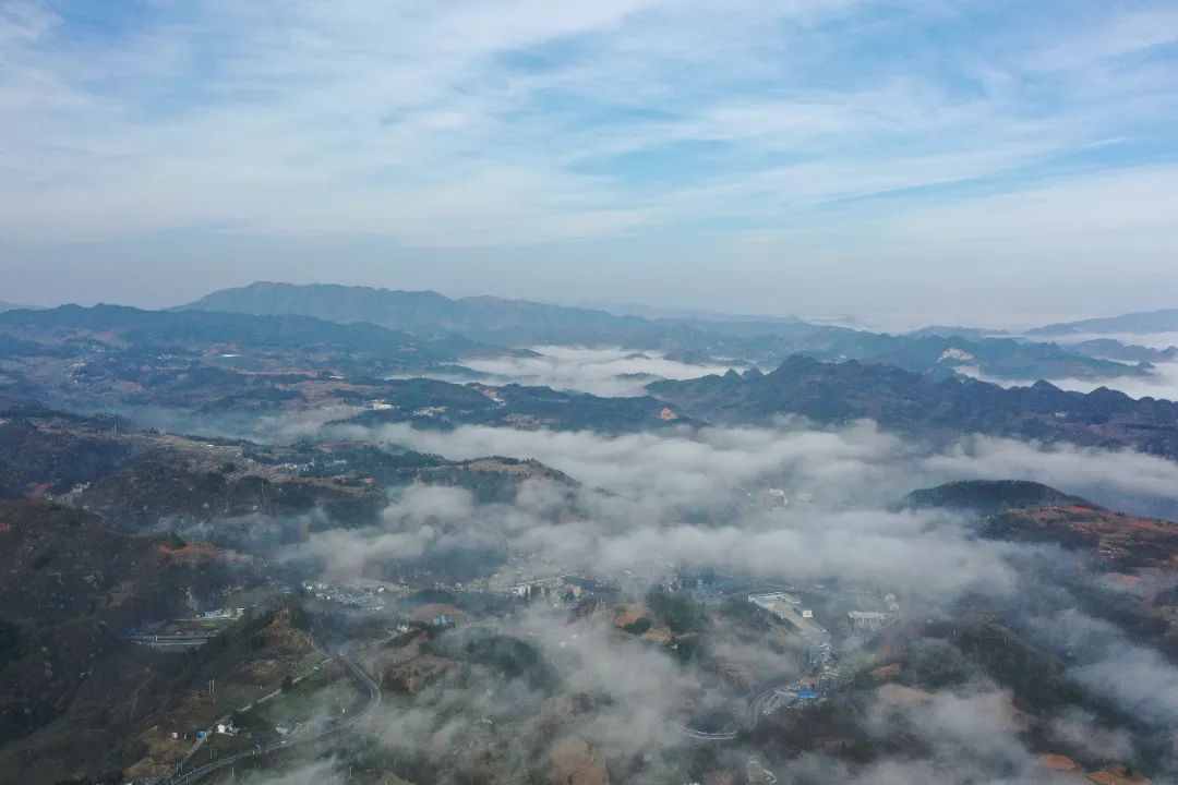 毕节市山地特色农业产业发展,林下经济铺就绿色脱贫路