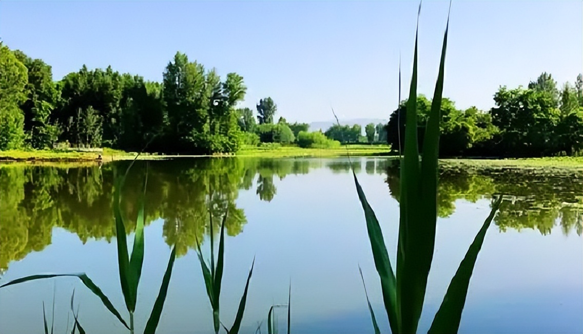 今年冬季鱼为什么不好钓,最近鱼为什么不容易钓