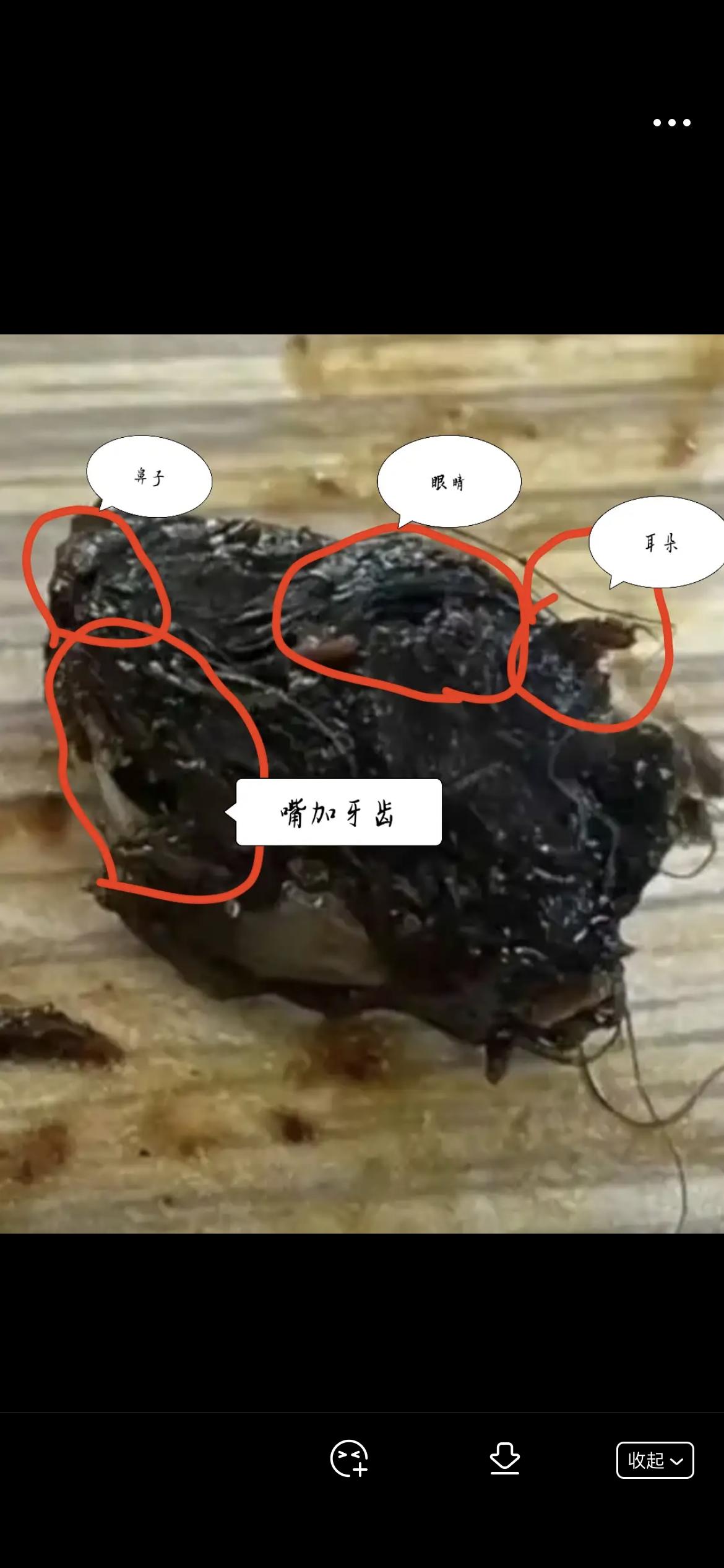 鸭脖放大800倍你还敢吃吗,鸭脖放大500倍你还敢吃吗