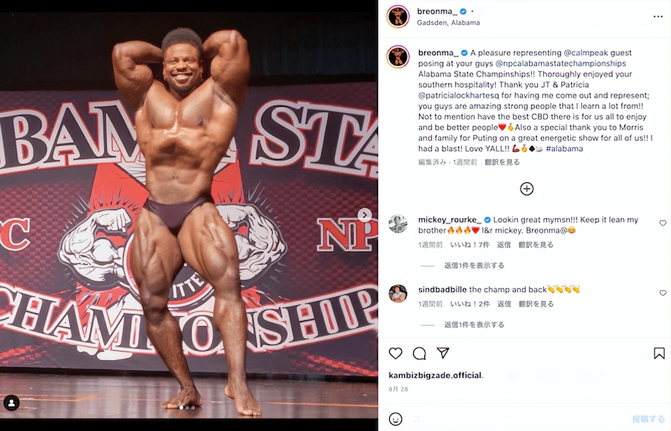 黑天鹅安斯利个人展示,黑天鹅安斯利肩部动作