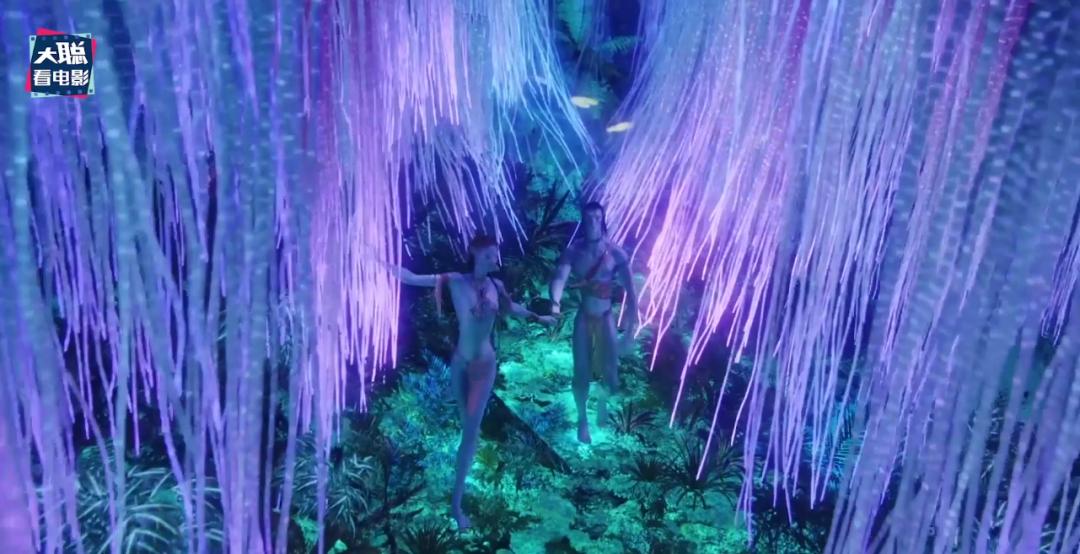 阿凡达解密,阿凡达2详细攻略大全