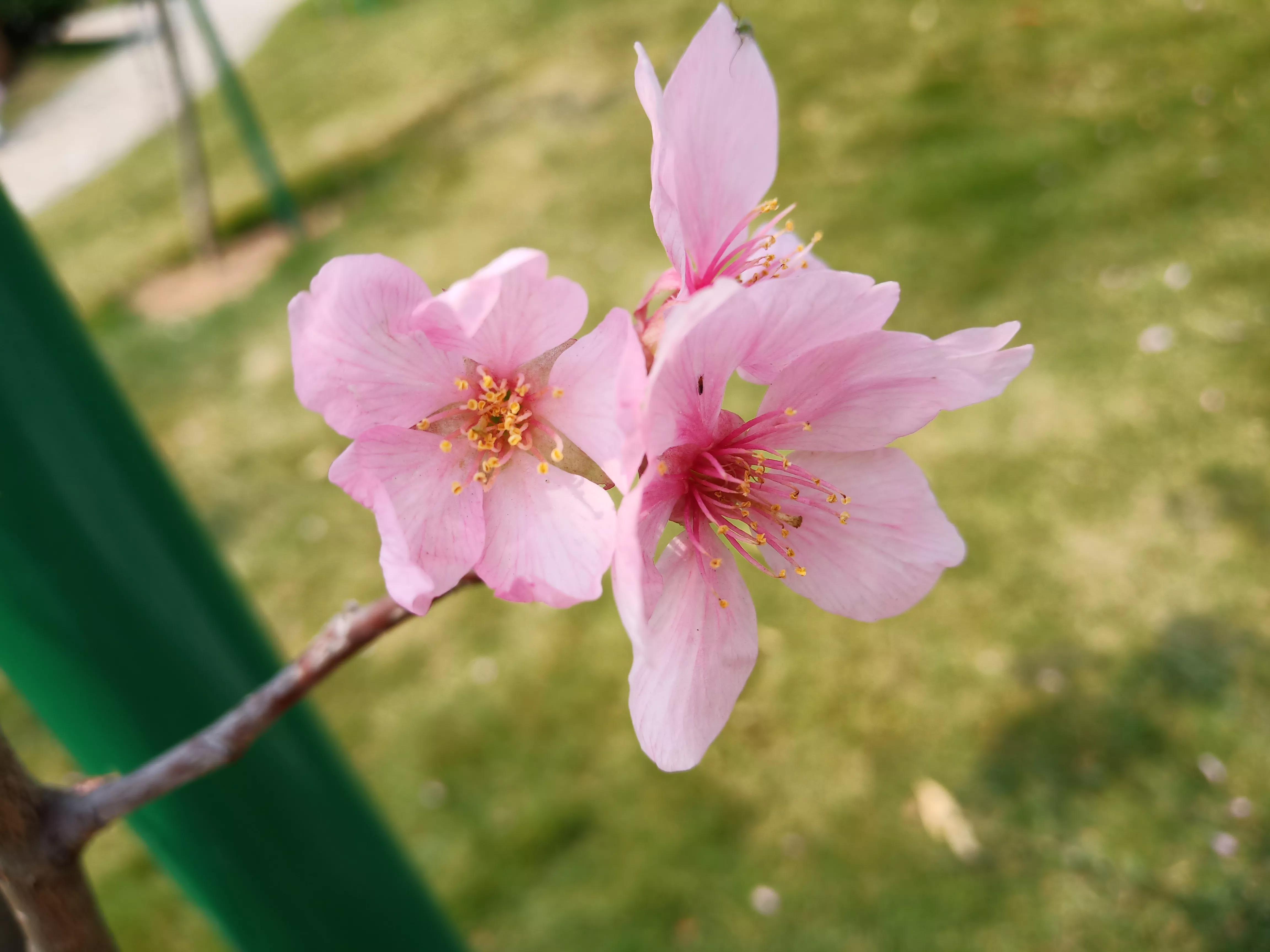 在广州打工一辈子也买不起一套房,在广州打工的真实生活感受