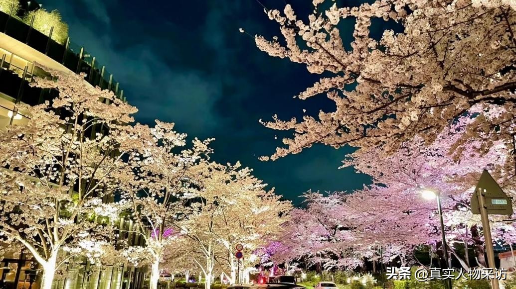 日本女人在家庭的真实地位,日本女性地位很低真实情况