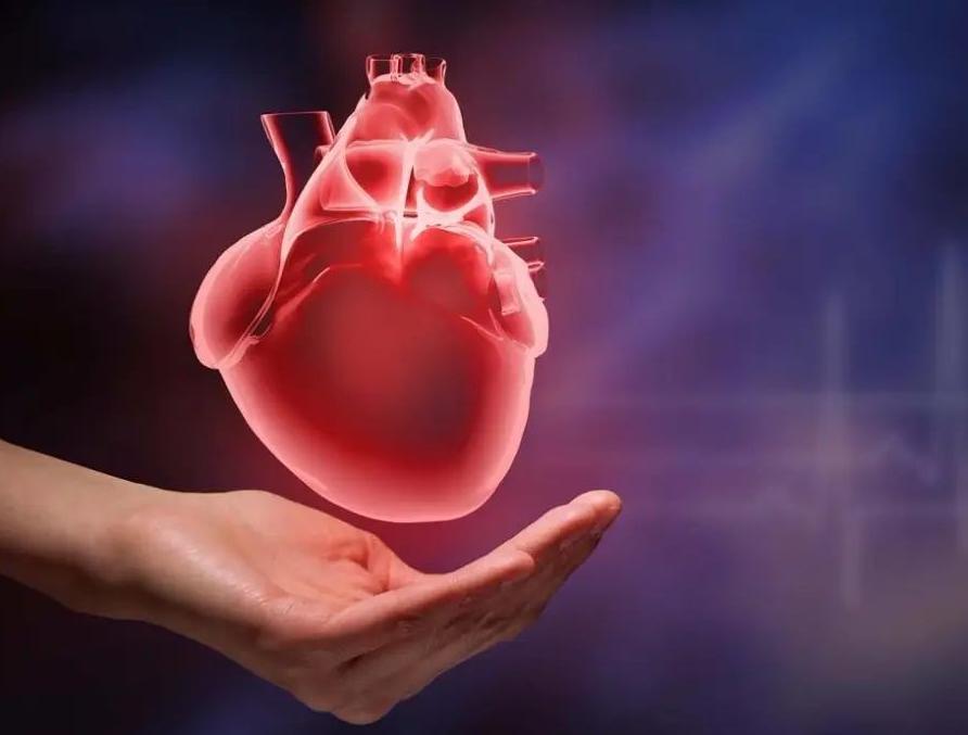 心脏支架手术一般能活多少年,做了心脏支架正常情况能活多少年