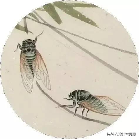 夏至节气感慨,今日夏至话题