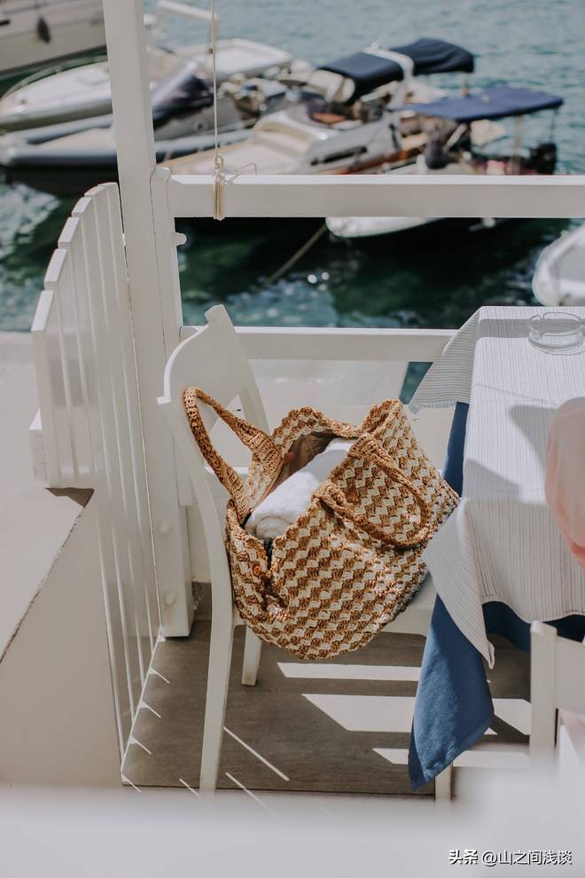 扬州民宿加盟品牌,民宿酒店加盟哪家是免费的