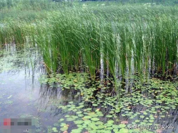 上海自驾西山旅游攻略,苏州东山一日游自驾游最佳路线图