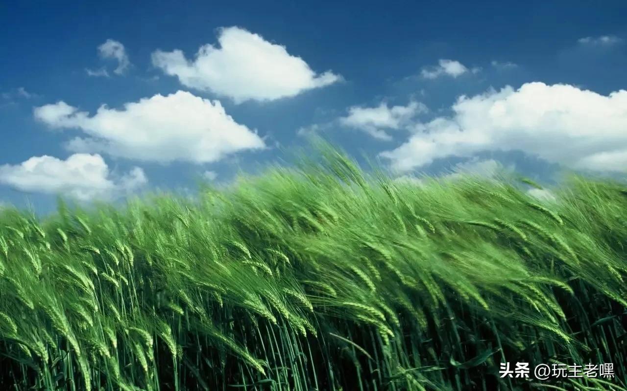 日更日常的生活,工作更快乐