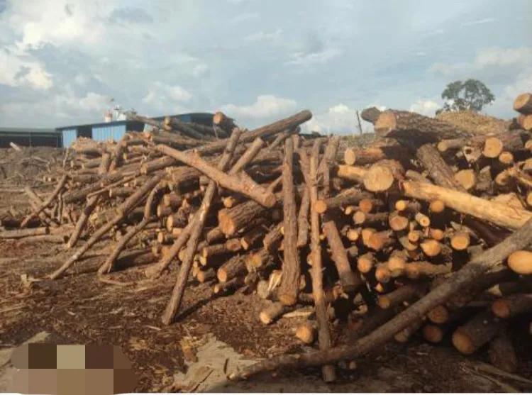 欧盟对俄实施制裁木材,制裁俄罗斯对木材影响