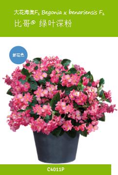 德国疫情带来的变化,德国园艺市场趋势