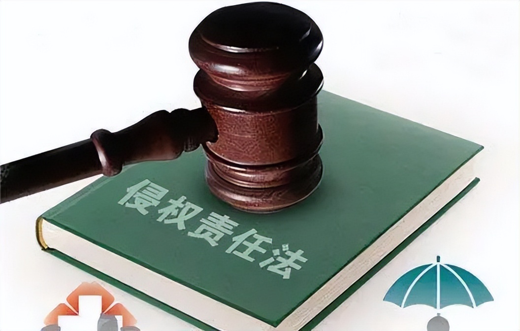 法律上的侵权责任纠纷是什么意思,法律规定侵权责任的意义