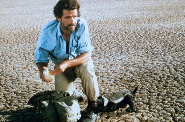 非洲“平头哥”蜜獾有多强？我来告诉你