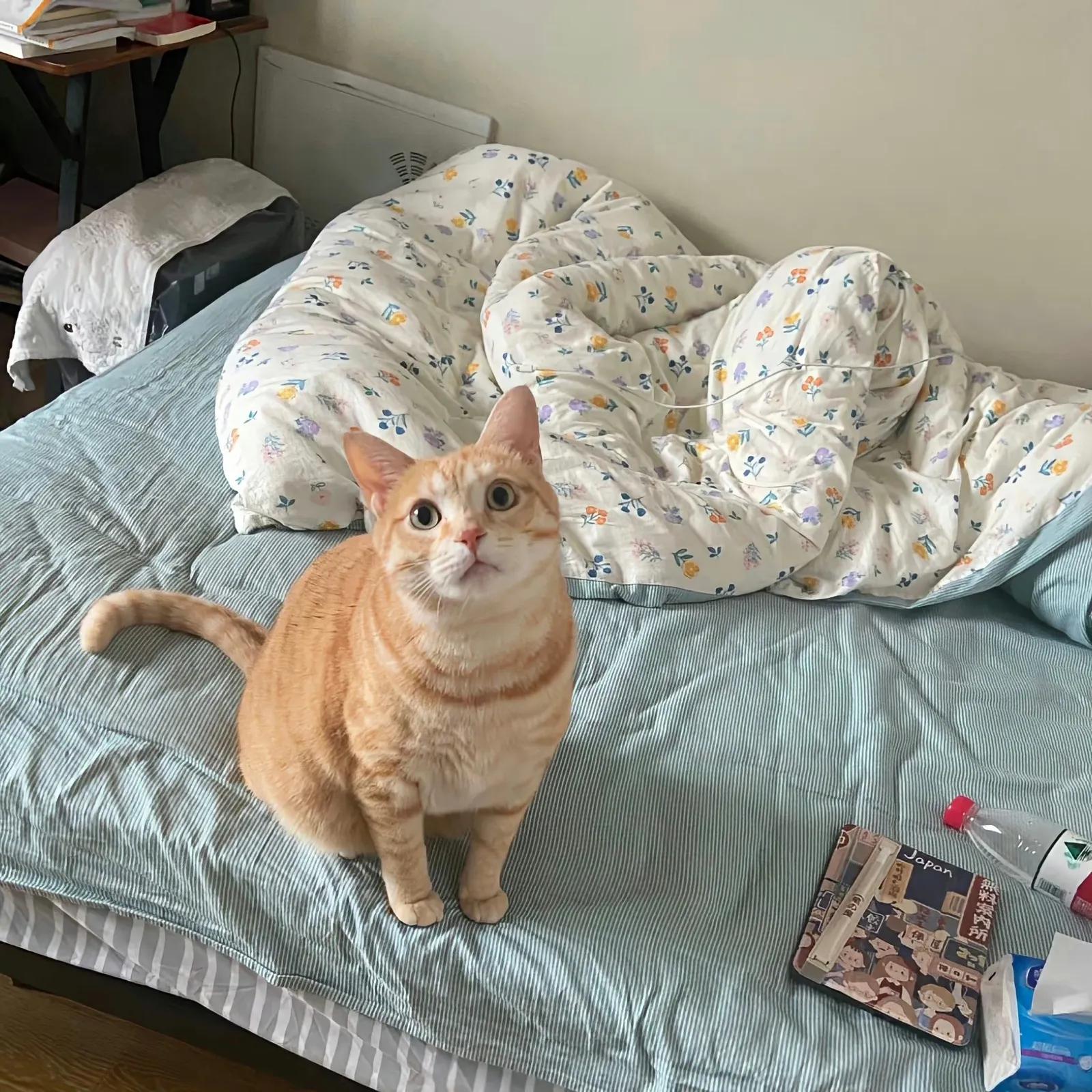 好运朋友圈背景图,勤劳致富背景图人民日报