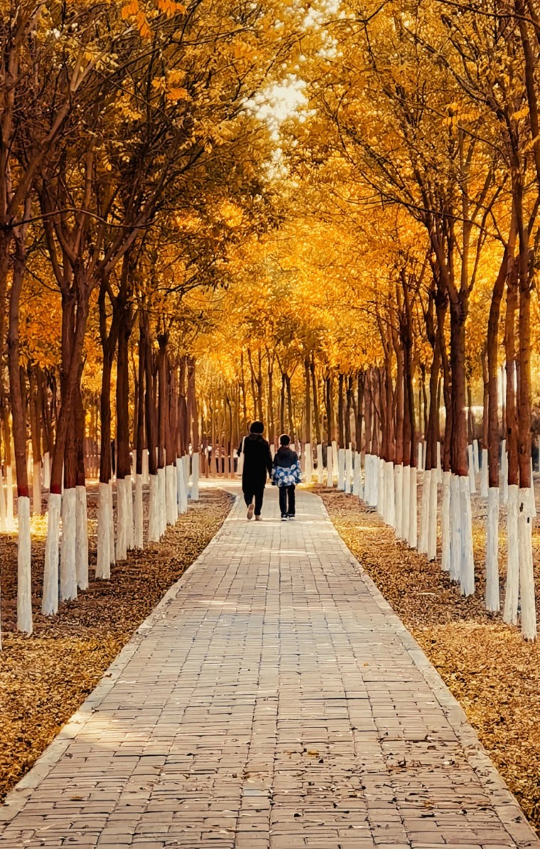 秋天怎么拍出好看的照片,秋天怎么拍出最好的照片