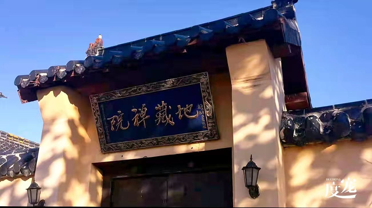 宠物去世很难过,宠物离世我们应该如何面对