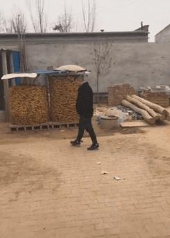 为什么女婿去丈母娘家不能干活,为什么有些女婿不愿意去老丈人家