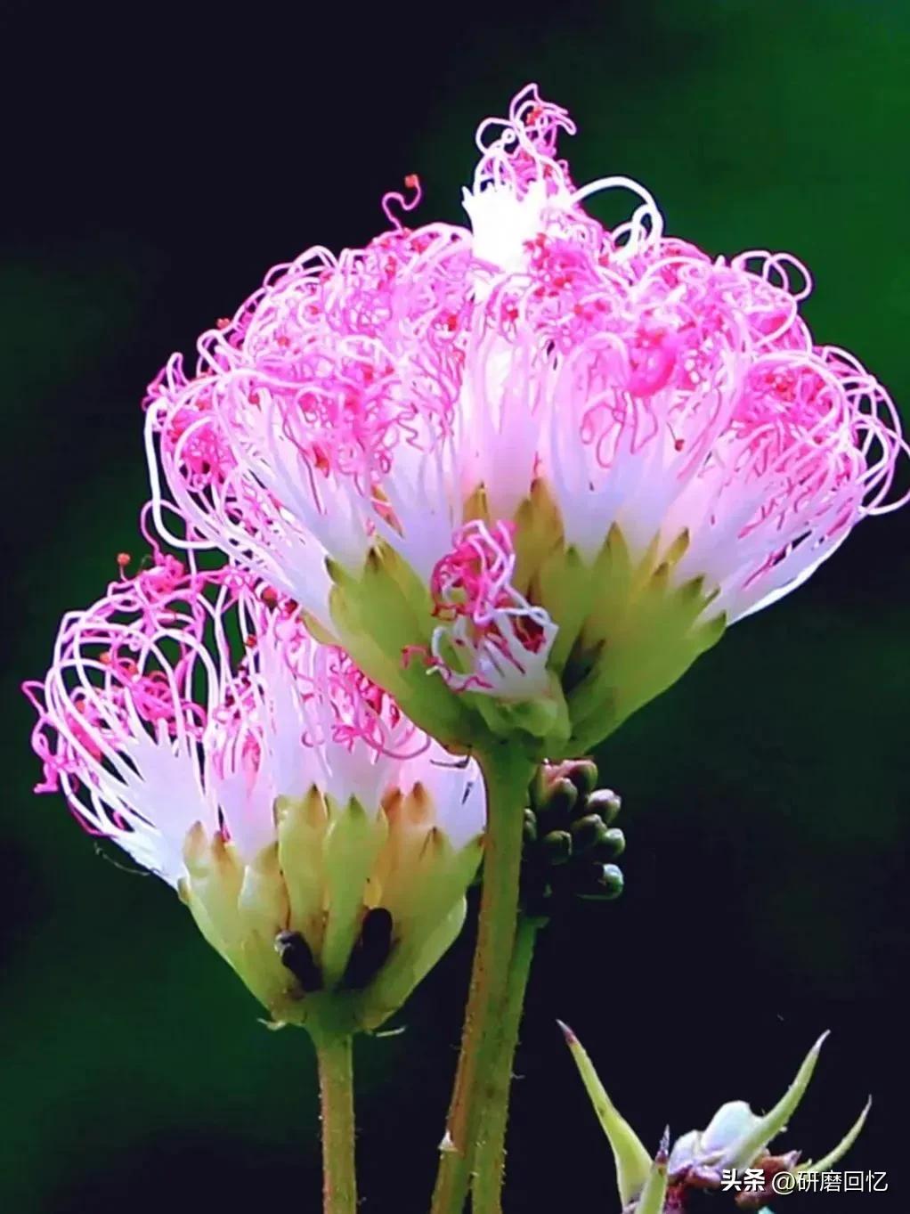 人生的感悟是沉甸甸的,人生其实就是感悟的过程