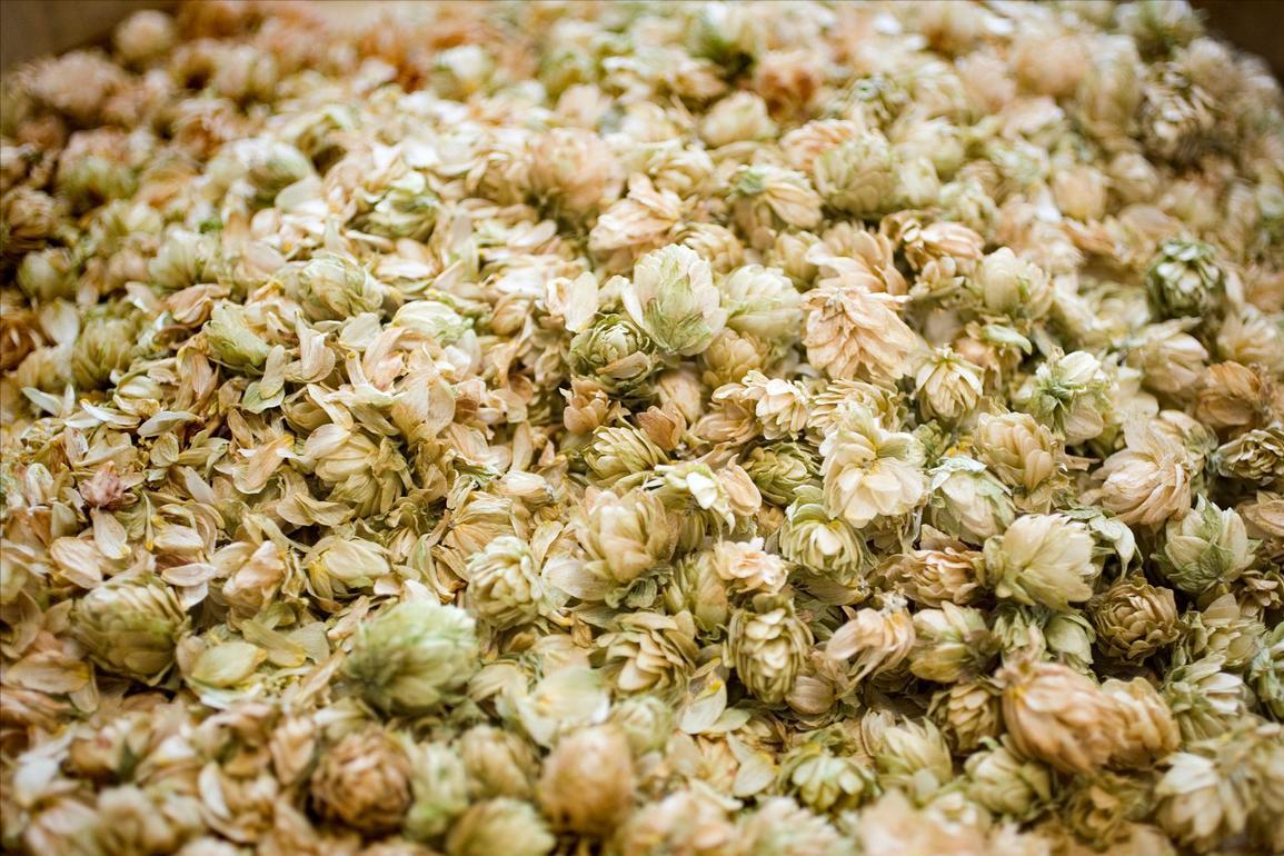 从丝绸之路传来中国的东西,丝绸之路上从西域进入中原的物品