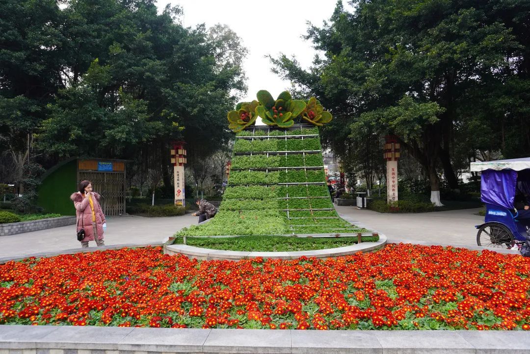 四川乐山老街的传说,乐山最灵的老街