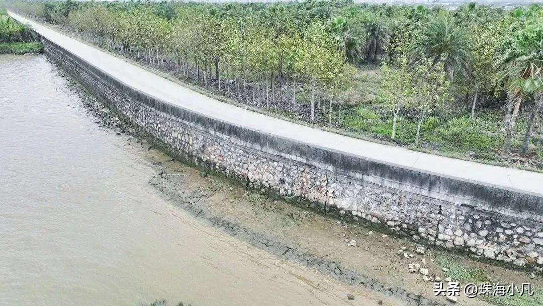 尖峰大桥是否会扩建,尖峰大桥什么时候建成