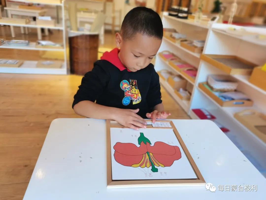 小孩通过哭闹要挟父母实例,当孩子用哭要挟时如何应对