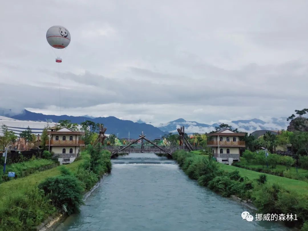 成都都江堰融创乐园门票价目表,成都融创乐园爱丽丝梦游仙境