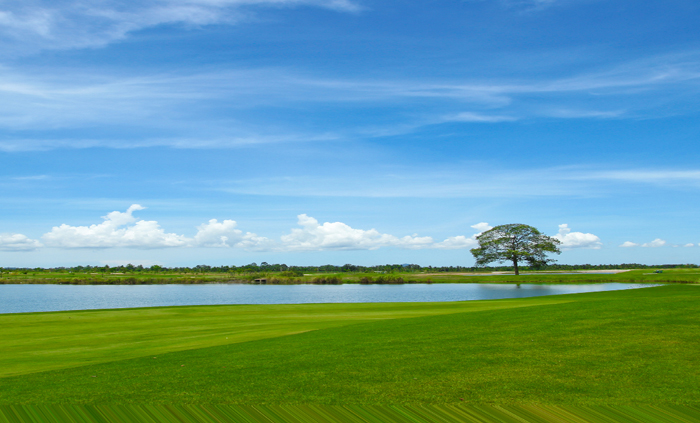泰国高尔夫旅游攻略,泰国的高尔夫球场