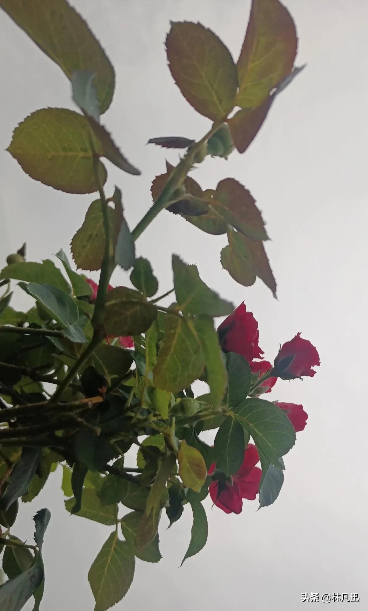 什么样的人适合炒股,不适合炒股的人