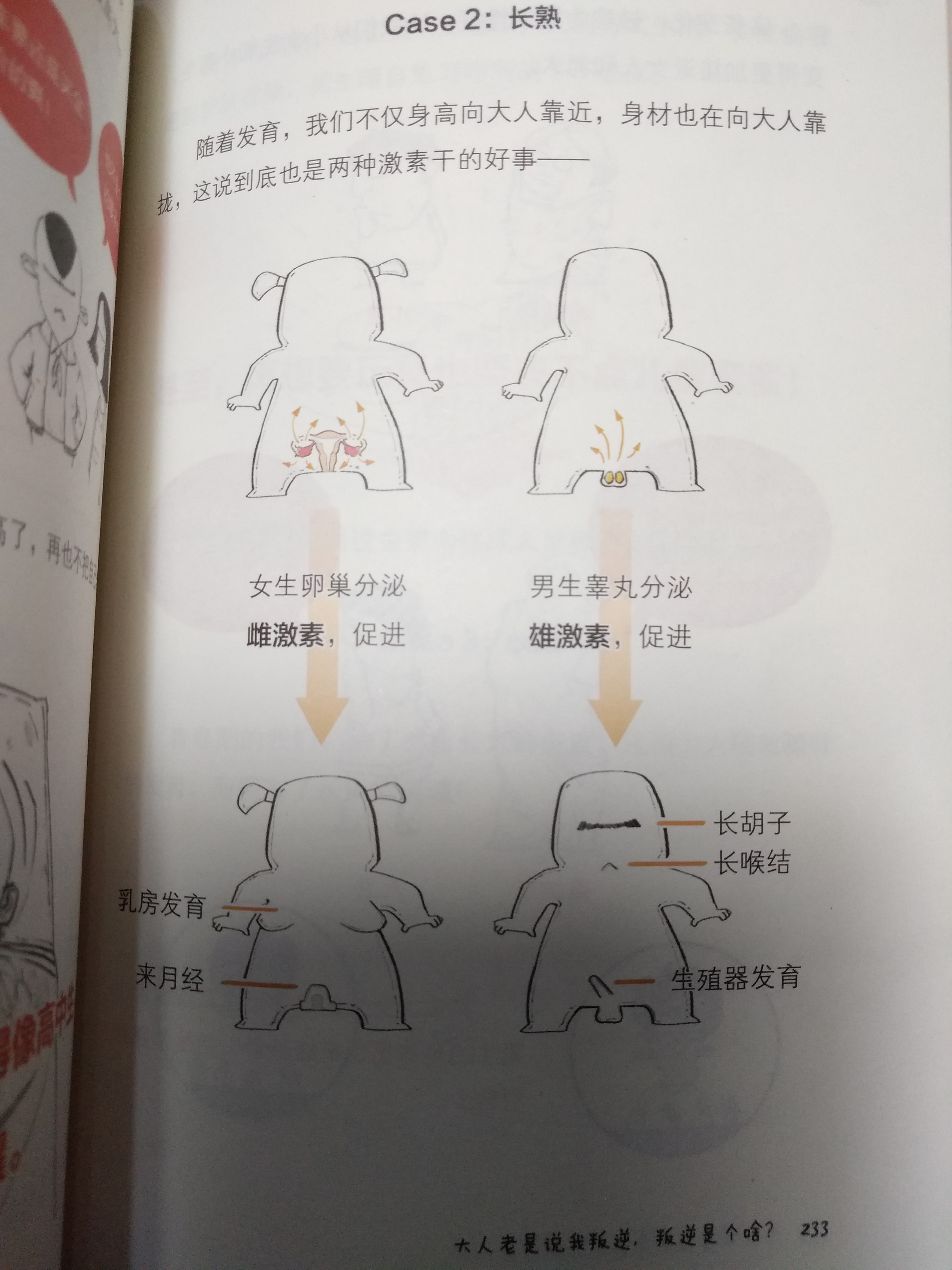 陪少年度过多事之秋——青春期