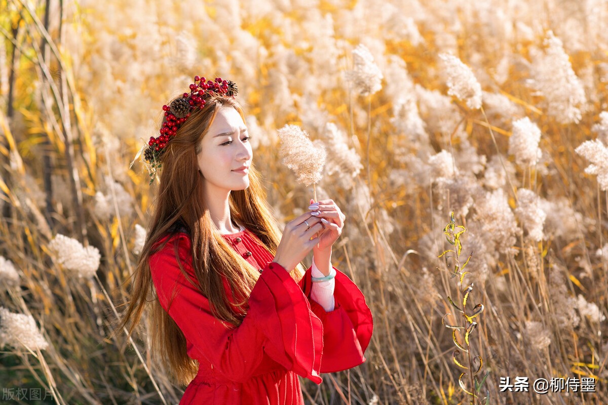 手机拍照片有哪些优点和缺点？3个摄影技巧，助你扬长避短