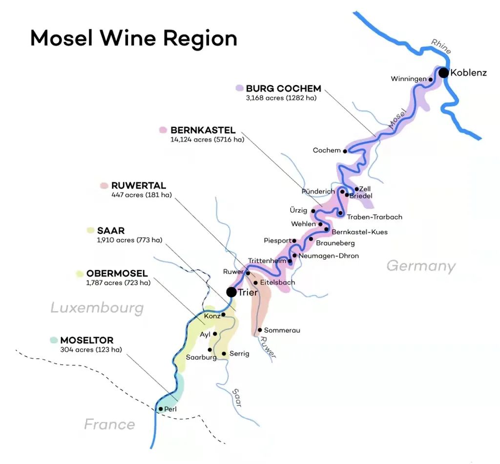 雷司令生日,雷司令2017