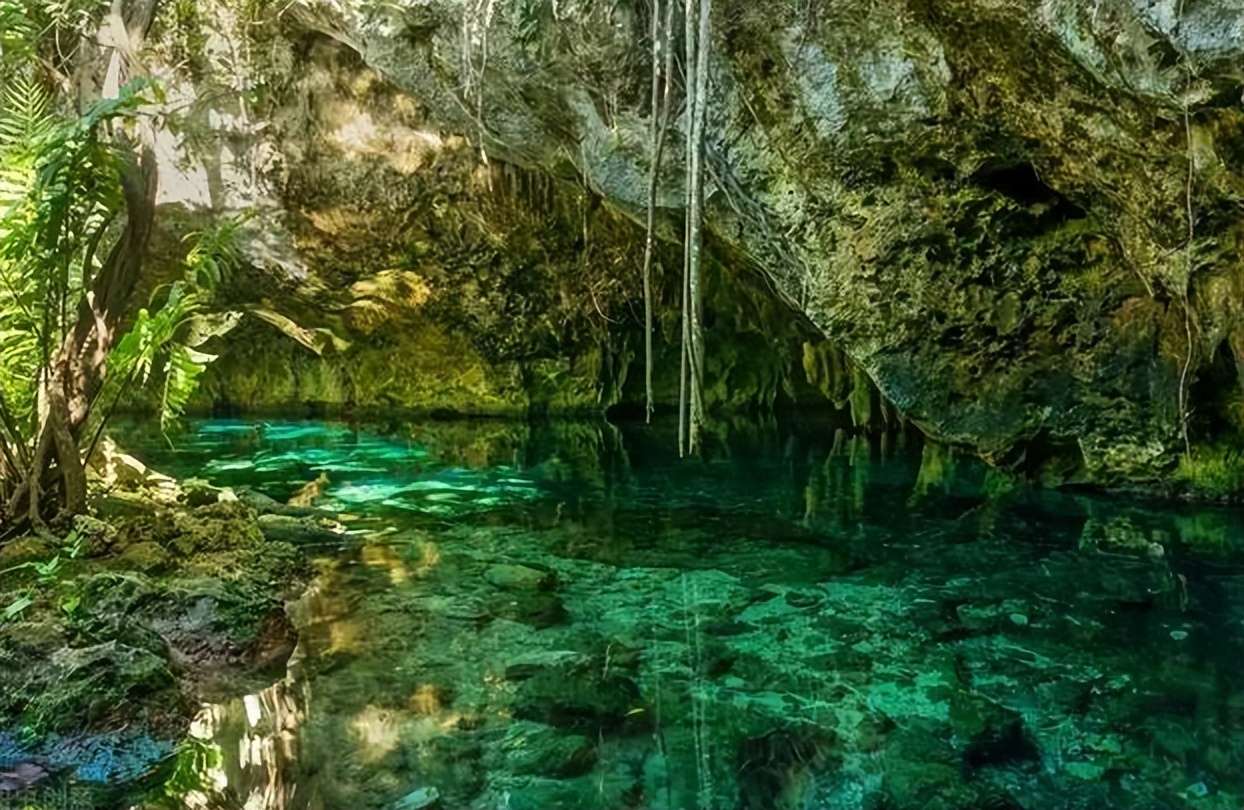 广东绿窟潭发现大量女性遗骨,广东绿窟潭发现10具女性骸骨