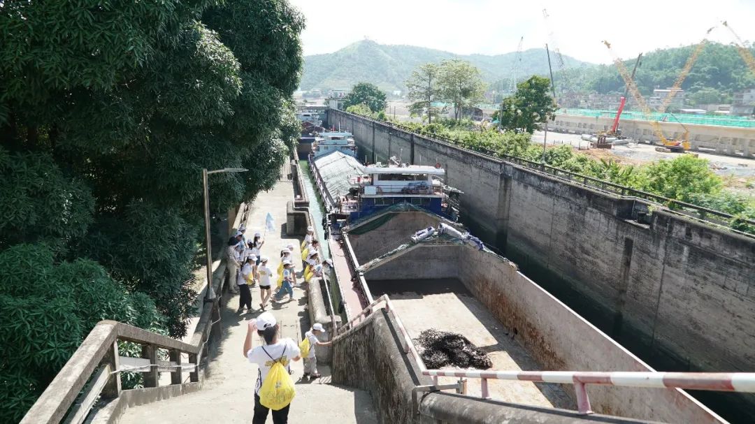 融媒小记者夏令营,融媒小记者栏目