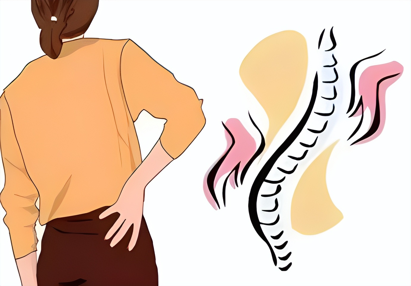 您的脊柱还好吗,健康的脊柱有多重要看完你就知道