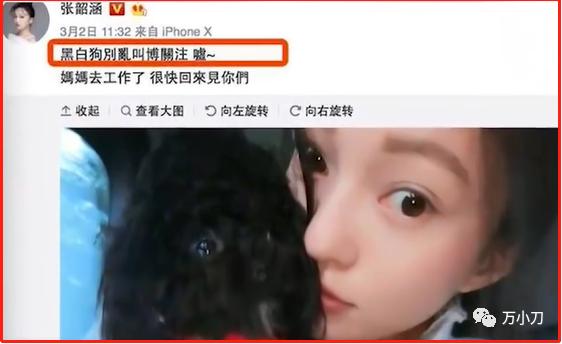 万小刀：美女歌后范玮琪和黑人的瓜