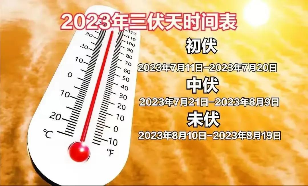 “公伏热死牛，母伏爬墙头”，2023年是公伏还是母伏？为啥爬墙头
