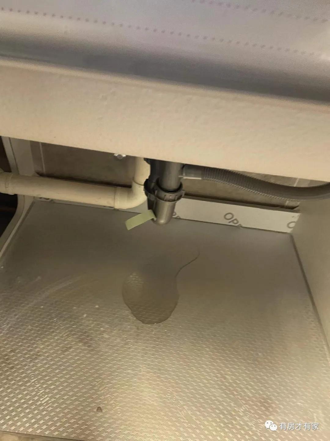 甯哥啛姗℃爲婢滄咕楠屾埧,楠屾埧娣卞害鍒嗘瀽鏂版埧