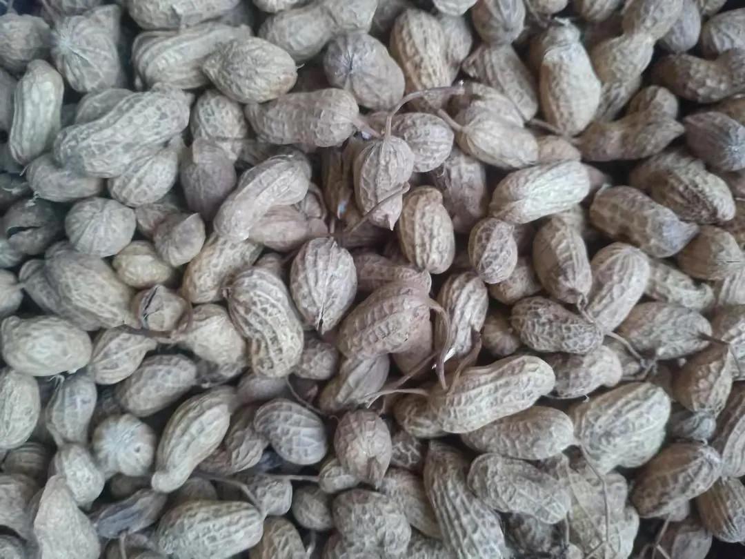 剥花生用什么工具,剥花生后心口疼