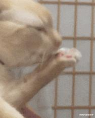 “女友闺蜜深夜约我看海，该注意啥？”