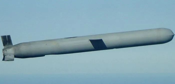 日本想向巴基斯坦借核武器吗,日本计划向美采购导弹