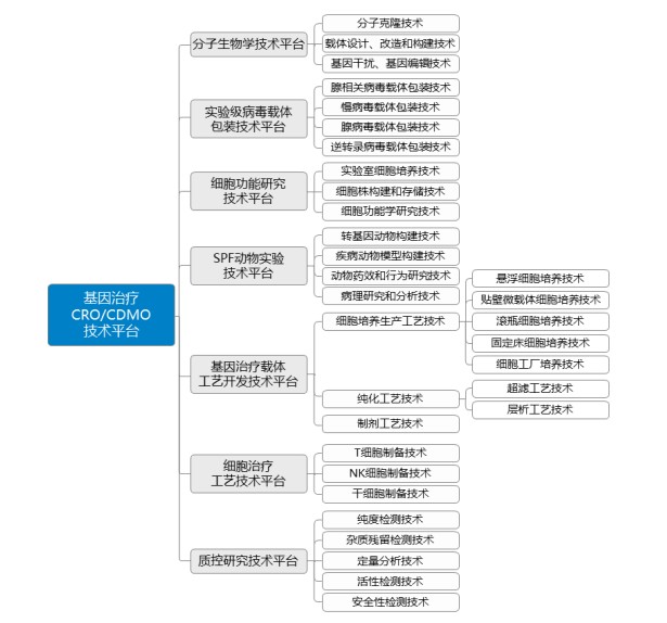 腾讯突击入股、基因治疗CDMO第一股...和元生物真有这么强吗？