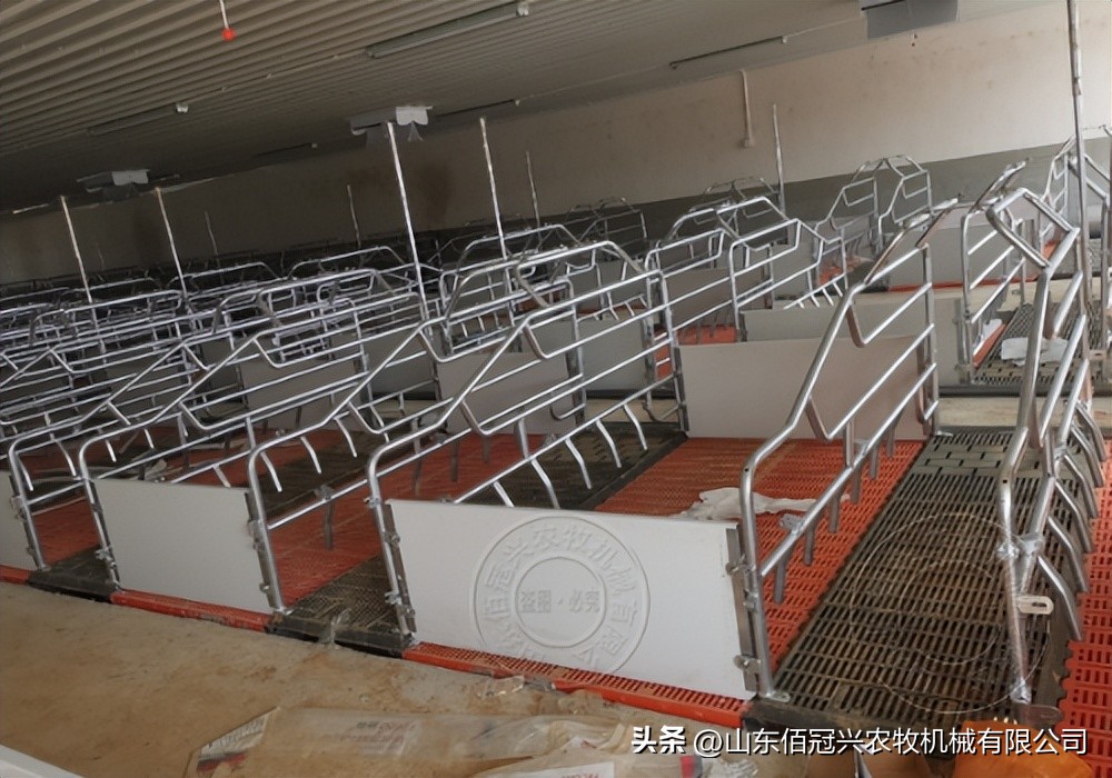 育肥猪漏粪地板猪舍建设,乌鲁木齐羊场漏粪地板