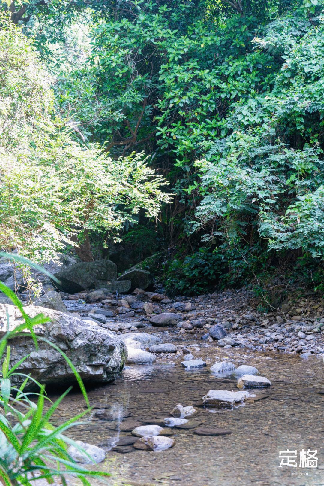 广东深圳避暑好去处,深圳夏天哪里度假避暑最好