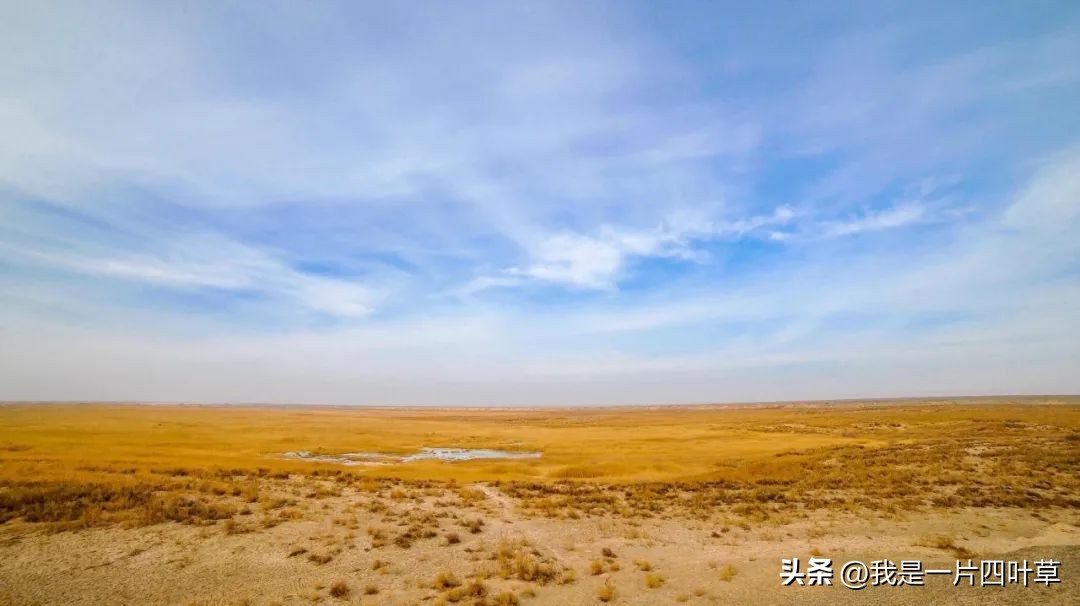 今日八一建军节,今天八一有什么新闻