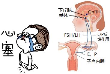 怕ta不来，又怕ta乱来！女生关于月经那点事儿