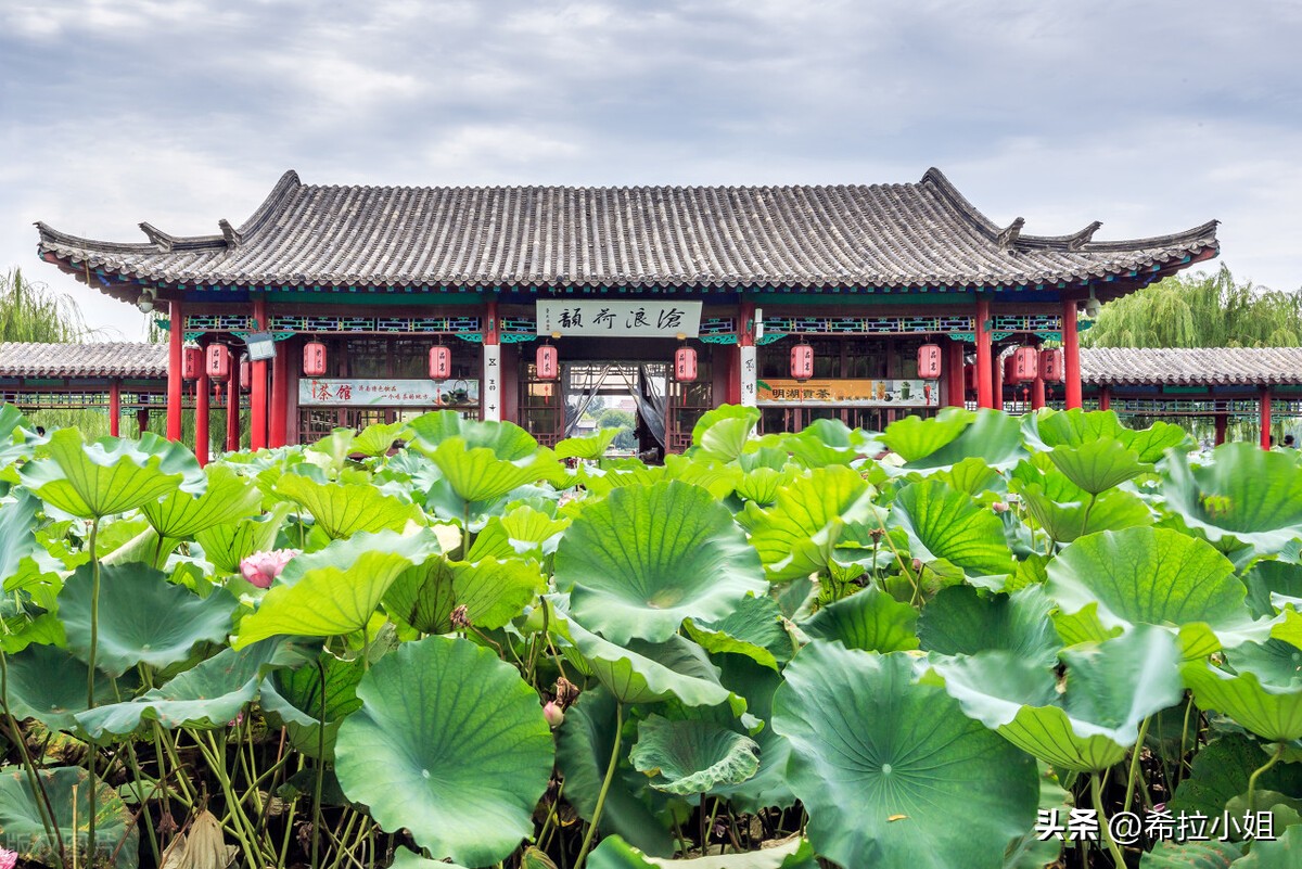 苏州旅游必去十大景点推荐理由,苏州旅游必须去的景点有哪些地方
