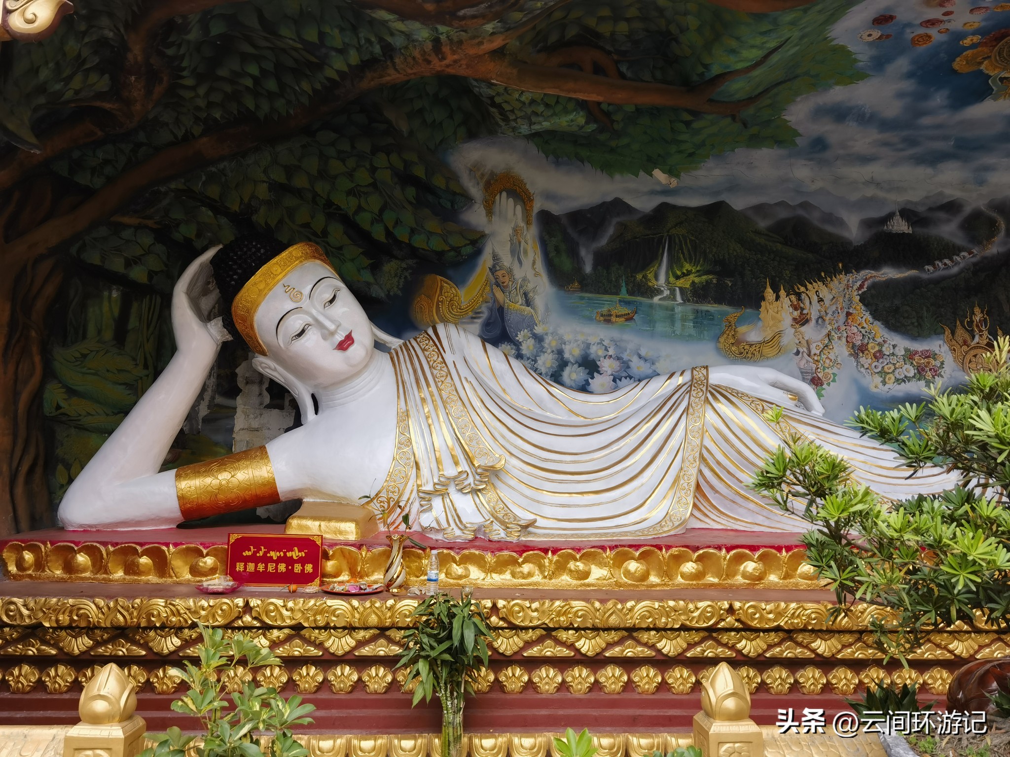 缇庝附寰峰畯娴极涔嬫梾,婕父寰峰畯