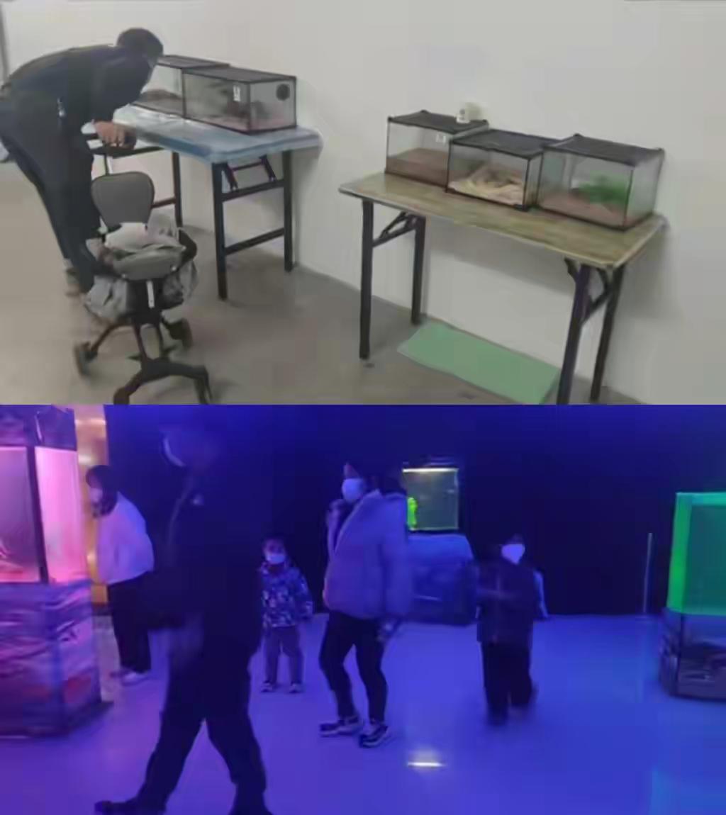 央视315晚会揭露直播乱象,央视315曝光骗局